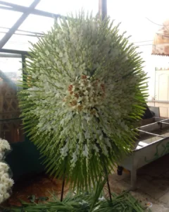 تاج گل نمایشگاهی
