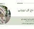 سفارش و خرید تاج گل اروپایی